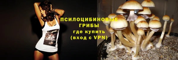 дживик Михайлов