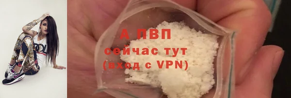 Альфа ПВП Куртамыш