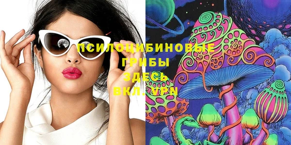 дживик Михайлов